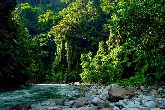 Private Full-Day Bukit Lawang Trekking Tour From Medan - The Midday Jungle Lunch and Fruit Table Break