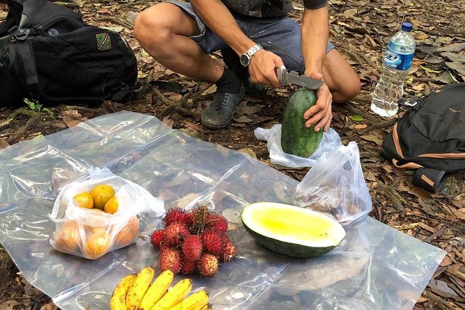 Private Full-Day Bukit Lawang Trekking Tour From Medan - Who This Trek Fits Best (and Who Should Reconsider)