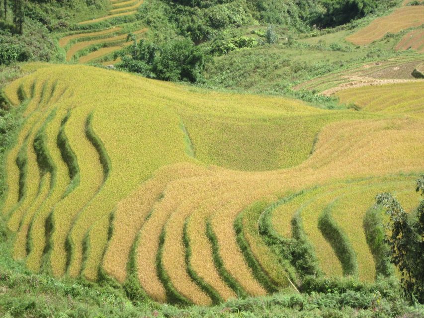 Private Hoang Lien National Park & Tribal Village Trek - Sin Chai village: community-based tourism in Sapa