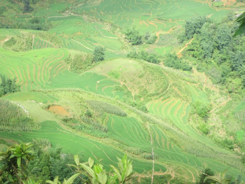 Private Hoang Lien National Park & Tribal Village Trek - Pace, guides, and how conditions can change your experience