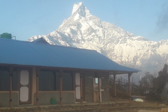 Private Mardi Himal Trek - Day 1: Dhampus to Deurali via Kande Forests