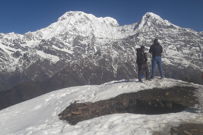 Private Mardi Himal Trek - Day 3: Low Camp to High Camp (3700m) and the Machhapuchhre Moment