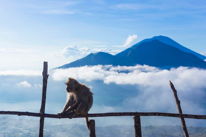 Private Mount Batur Sunrise Trekking Tour - Private tour feel vs small-group reality