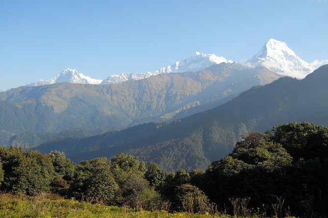 Private Multi Day Nepal Poon Hill Trekking Tour - Walking terrain and what it feels like day to day