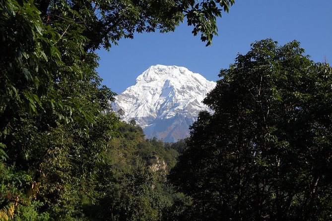 Private Multi Day Nepal Poon Hill Trekking Tour - Timing and start: the 6:00am reality