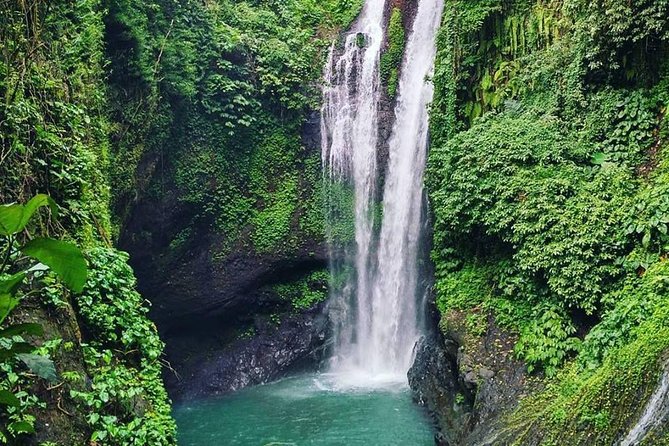Private Munduk Waterfalls Trekking Tour - Price and value: what $90 gets you in a private day