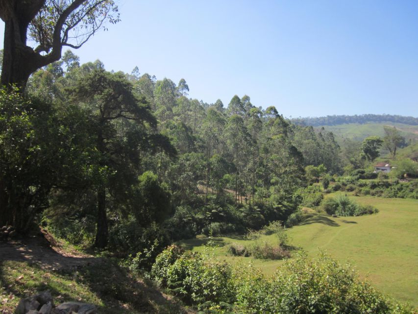 Private Munnar Tea Trek - Should you book this Private Munnar Tea Trek?