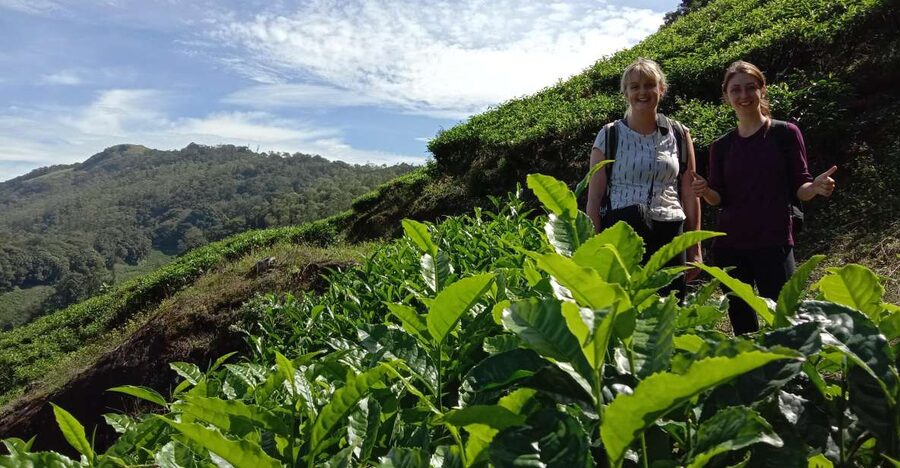 Private Munnar Tea Trek - Tea Garden walking (about 2 hours): steps, photos, and tea-maker context