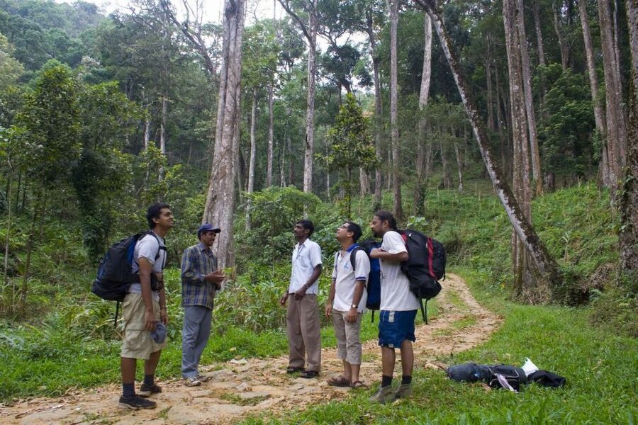 Private Munnar Tea Trek - Is this private trek right for you?