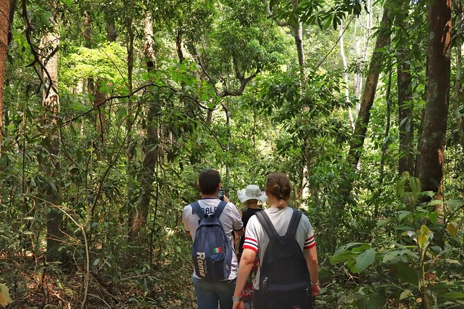 Private Tour Doi Inthanon And Trekking Nature Trail, Chiang Mai - Lunch and the Hmong Market Break You Actually Need