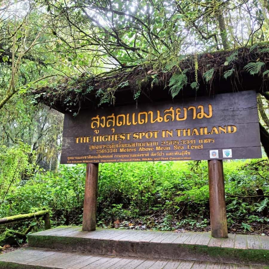 Private Tour Doi Inthanon, Trekking Kew Mae Pan Nature Trail - Quick hits: what you’ll remember from this day