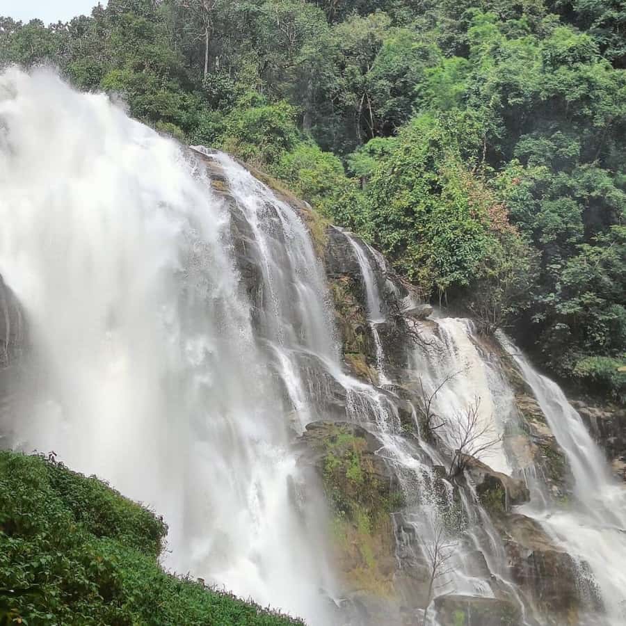 Private Tour Doi Inthanon, Trekking Kew Mae Pan Nature Trail - Leaving Chiang Mai: private pickup and a well-paced route