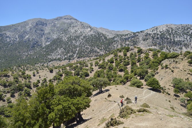 Private Trekking Rouvas Gorge - Key highlights you’ll feel on the hike