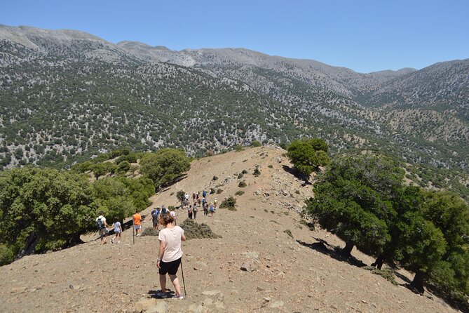 Private Trekking Rouvas Gorge - Stop 3 in the Rouvas Gorge (Agios Nikolaos): riverbed walking, waterfalls, and ponds