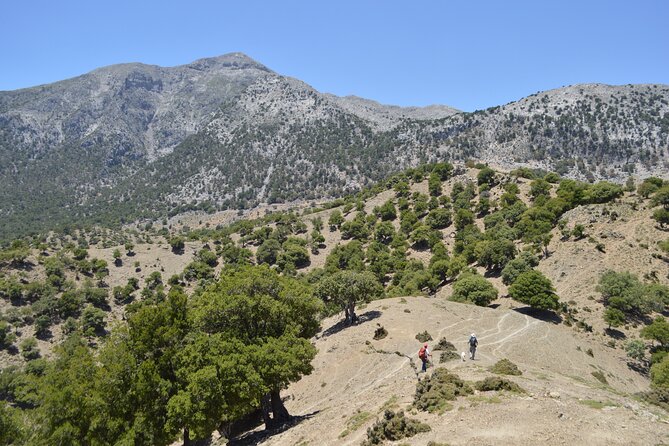 Private Trekking Rouvas Gorge - Ai Giannis picnic area: toilets, benches, shelter, and a spring