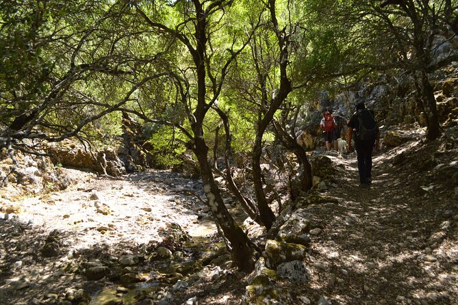 Private Trekking Rouvas Gorge - Pace, equipment, and weather: what actually affects your comfort