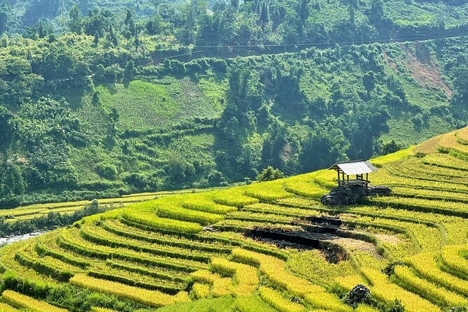 Private Trekking through Terraces Rice Fields in Sapa - Logistics that matter: timing, pickup, and what to expect