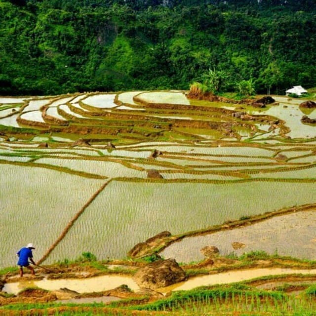 Pu Luong 2 Days 1 Nights - Offbeat Trekking Tour - Overnight in a traditional stilt house: what you actually get