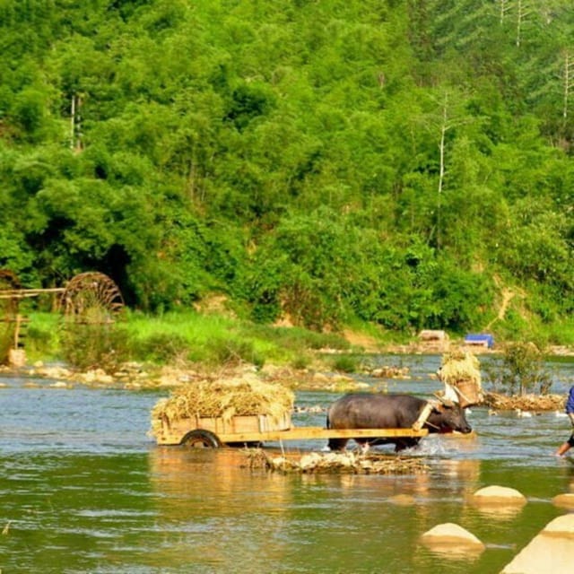 Pu Luong 2 Days 1 Nights - Offbeat Trekking Tour - What to bring (so Day 1 doesn’t hurt later)