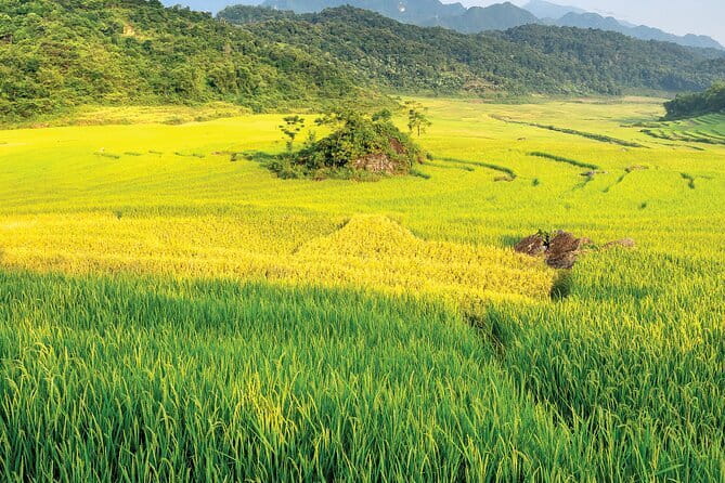 Pu Luong 3-Day Adventure: Trekking, Cycling & Local Cooking Class - Key highlights you’ll feel fast