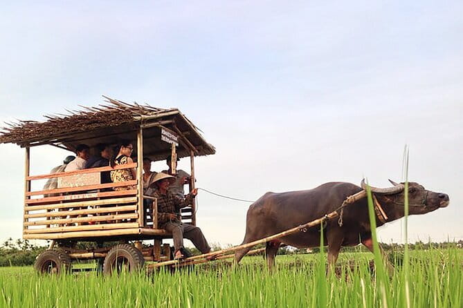 Pu Luong 3-Day Adventure: Trekking, Cycling & Local Cooking Class - Pu Luong in three days: the rhythm you should expect