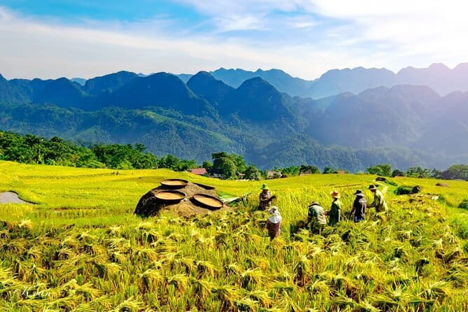 Pu Luong 3-Day Adventure: Trekking, Cycling & Local Cooking Class - Day 1: Pu Luong Nature Reserve + lodge downtime that feels earned