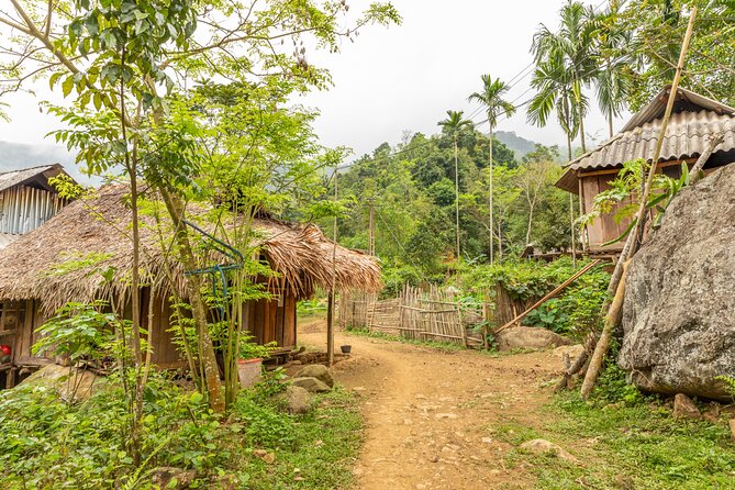 Pu Luong Full Day Trek Terraces Weaving and Waterfall Lunch - The Cung đường chữ S hike from Bản Đôn: paddy fields and quiet village paths
