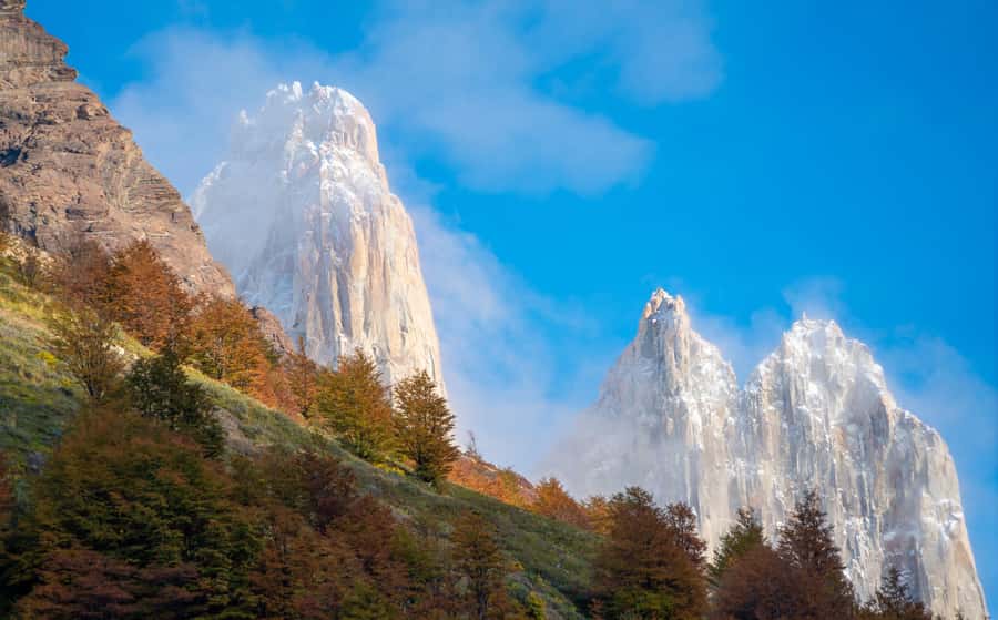 Puerto Natales: Base of the Towers Trekking Experience - El Chileno to dense forest: where the air gets cooler