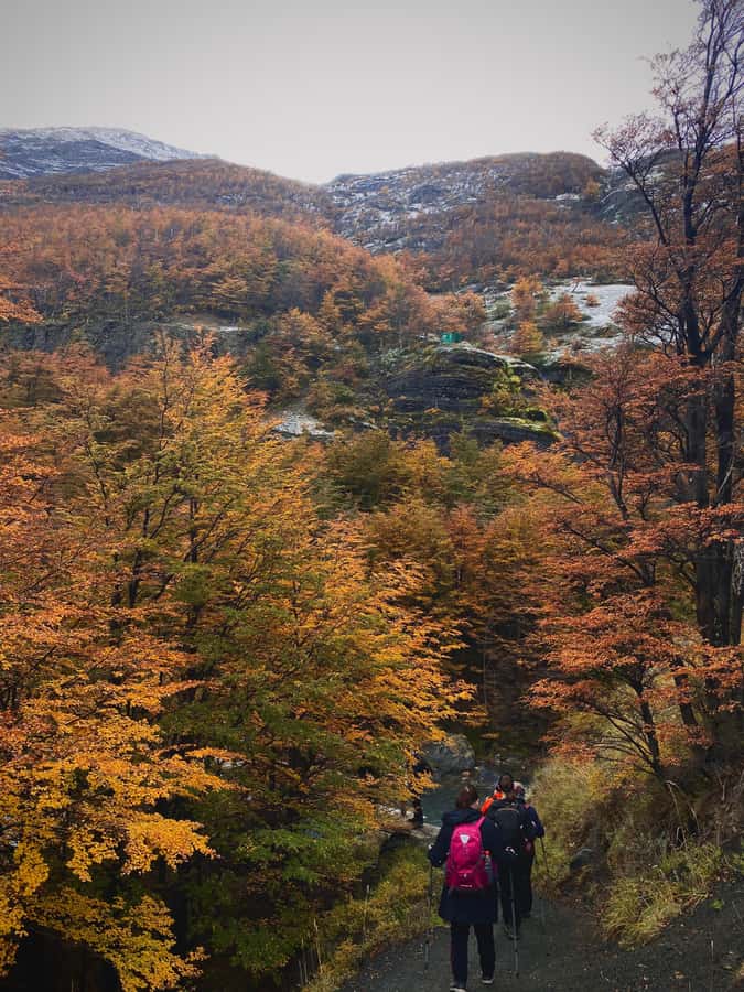 Puerto Natales: Base of the Towers Trekking Experience - Return the same way: why the trip feels longer than 14 hours
