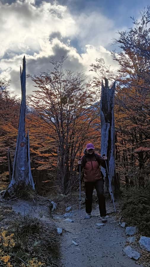 Puerto Natales: Base of the Towers Trekking Experience - Difficulty level: a long trek that needs real readiness