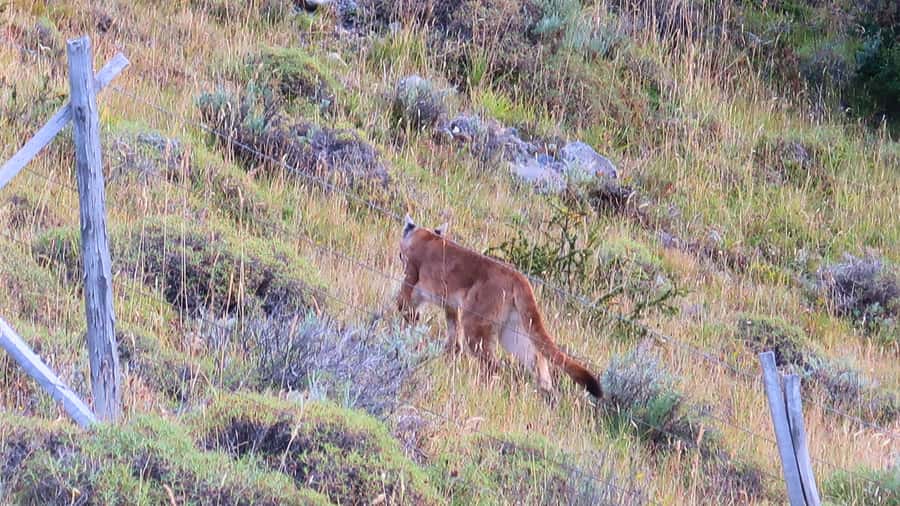 Puerto Natales: Base Torres Small Group Trekking - Price and value: is $88 a good deal for Base Torres?