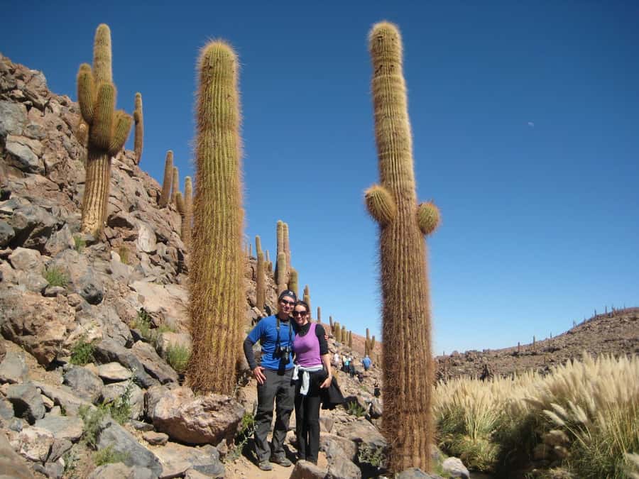 Purilibre Trekking - Puritama Canyon at 3500 Meters: desert oasis vibes, real altitude