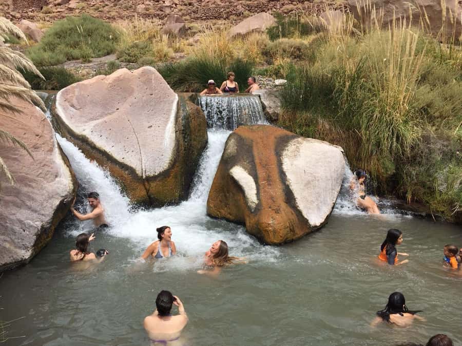 Purilibre Trekking - Pampas grass to the pools: how the hot springs stop actually feels