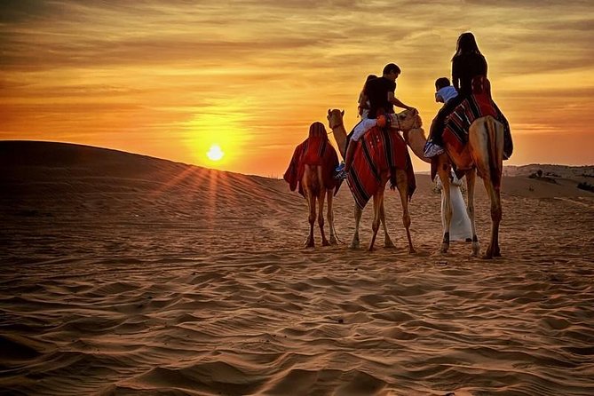 Quad Bike Self-drive & Camel Trekking Experience In Red Dunes Desert - Quad Bike Self-Drive: The Best Way to Feel the Dunes