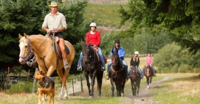 Queenstown: Walter Peak Horse Trek & Queenstown Lake Cruise - Lake Whakatipu cruise: the best kind of slow start