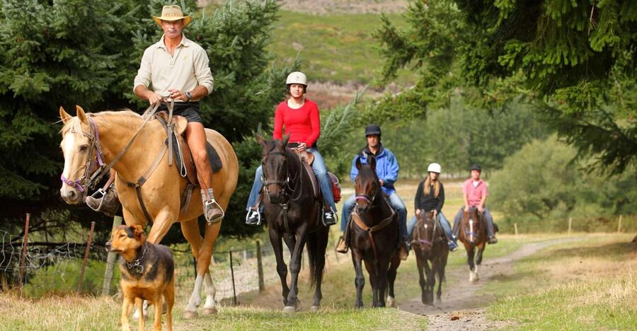 Queenstown: Walter Peak Horse Trek & Queenstown Lake Cruise - Lake Whakatipu cruise: the best kind of slow start