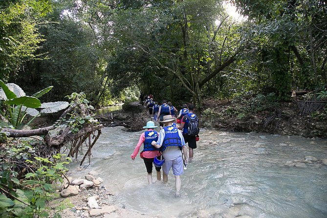 Rainforest Trek to Natural Pool - Taino Bay & Amber Cove ports - The guide touch: why names keep showing up