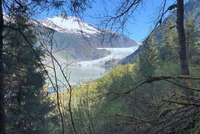 Rainforest & Waterfalls Trek - How the tour runs in about 5 hours (and where the time goes)
