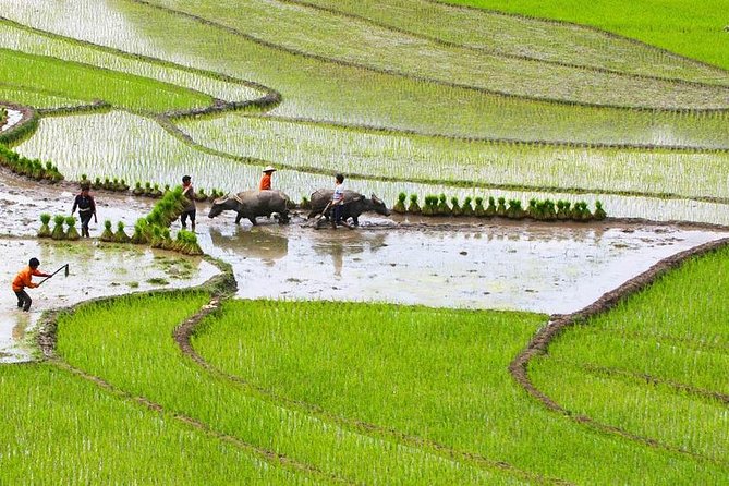 Red Dao village trek and Herbal bath - The feel of this trek: culture walking, not a photo loop