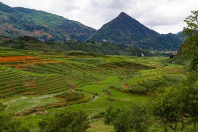 Red Dao Village Trek and Herbal Bath - Suoi Ho: Black Hmong Houses, Indigo Cloth, and Hill Views