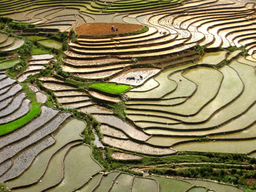 Red Dao Village Trek and Herbal Bath - Pace, Footing, and Fitness: The Part That Can Catch You
