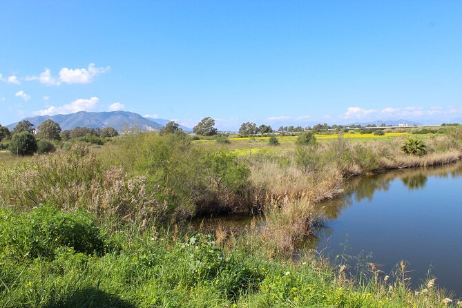 Rent a Trekking bike: Full Day 24 hours - Price and value: why $36.04 can be a smart deal