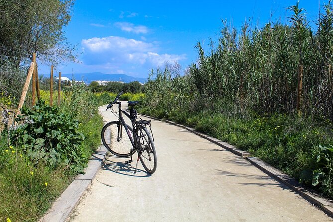 Rent a Trekking bike: Full Day 24 hours - Service notes that matter: bikes, helmets, and staff help