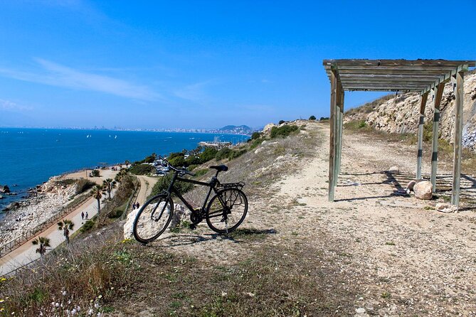 Rent a Trekking bike: Full Day 24 hours - Soho district street art and Malaga’s reinvention story