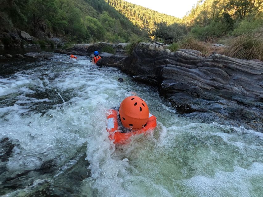River Trekking in Arouca Geopark - Fauna and Flora Notes: Learning Without Killing the Vibe