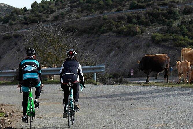 Road, Trekking or E-bike Bike Rental in Cagliari - Cagliari by bike, run like a tour operator