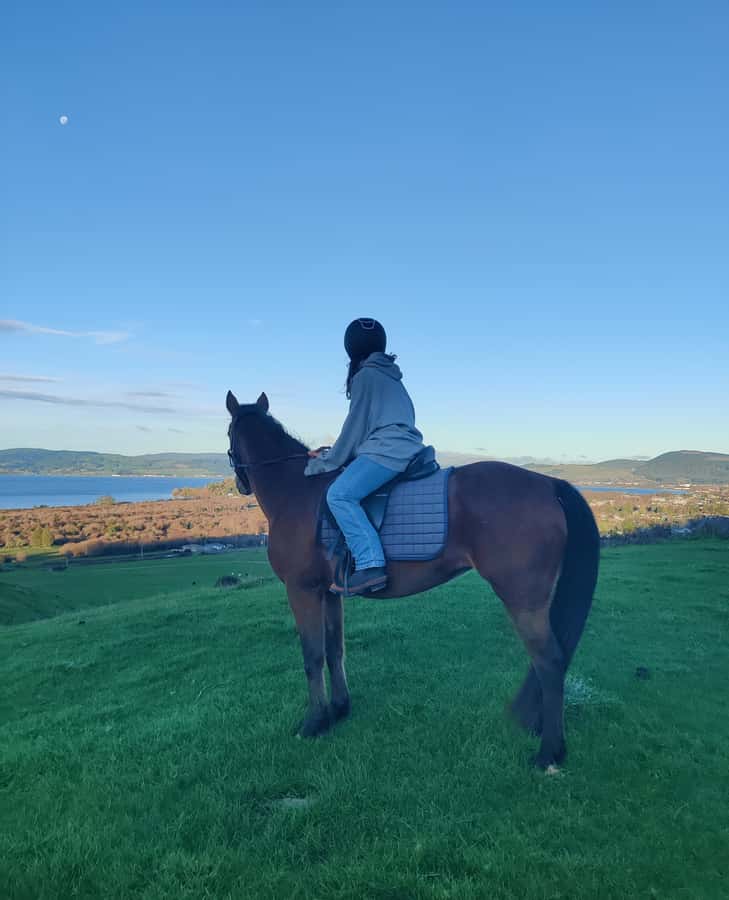 Rotorua: Scenic Horse Trek - Key things you’ll notice before you book