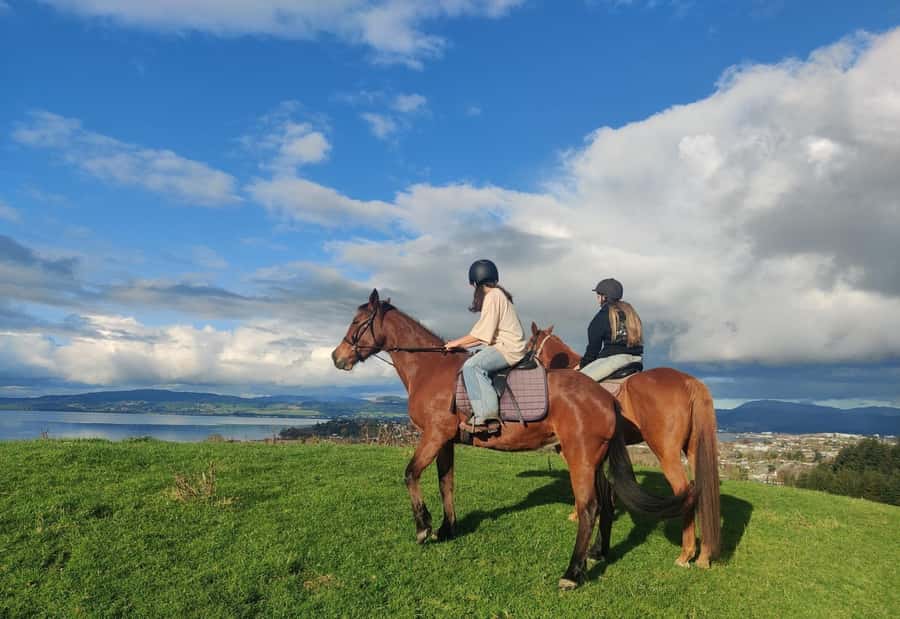 Rotorua: Scenic Horse Trek - Why a Rotorua Horse Trek Works So Well for 1 Hour