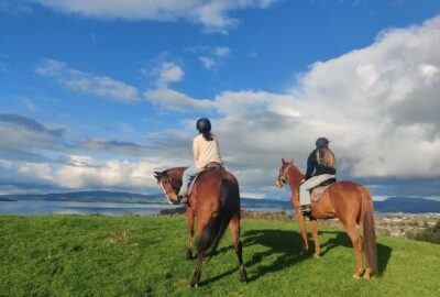 Rotorua: Scenic Horse Trek - Adventure Playground Meeting Point: Easy Start, Clear Instructions