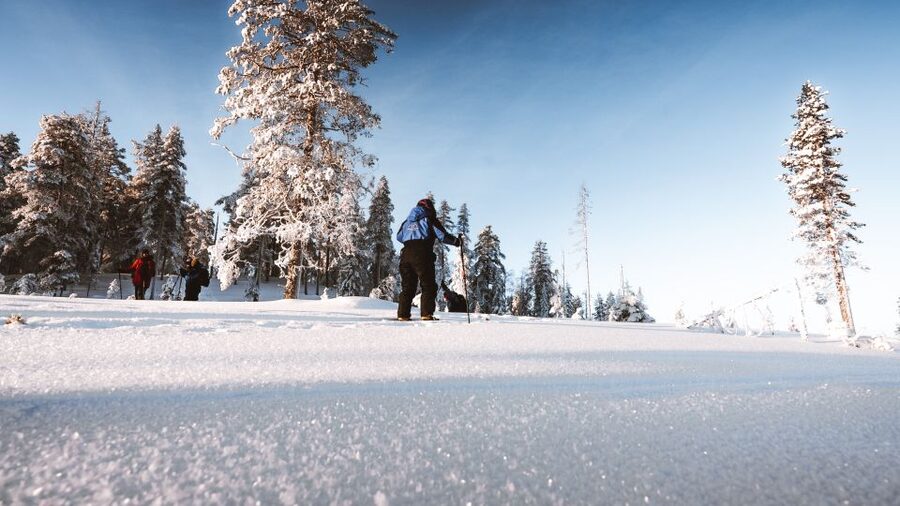 Rovaniemi: Lapland Ski Trekking Safari - Why ski trekking is the best way to see Lapland away from crowds